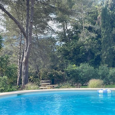 La Villa Des Carriers- Maison Avec Piscine Proche Mer ロックフォール・レ・パン エクステリア 写真